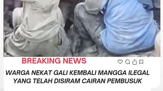 faktadunia88 8
