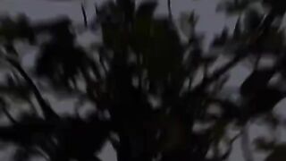 Hit song 7