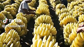 nice video 29