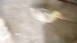 Wertuiocbnnn