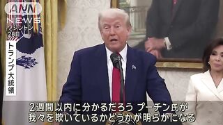 トランプ氏　ロシアへの対応2週間以内に分かるだろう対応決める考え示す(2025年5月29日)