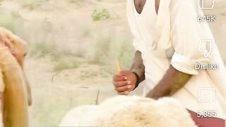 Song hindi 5
