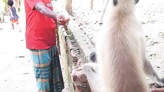 হনুমান এটা কি করলো