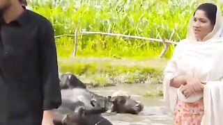 Funny video