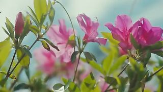 {Video 18+} Swansin amieriss vk เฟิร์น โย ธิ กา kitty200102