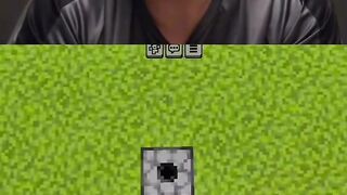 Minecraft 54
