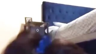 When you pass out in front of your dog