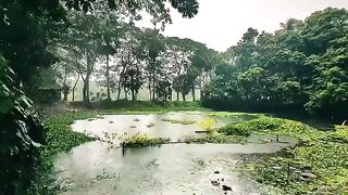 Nayratno Guho - বৃষ্টি বিলাস⛈️????????_নরম মেঘে ঢাকা আকাশ_ হঠাৎই টুপটাপ