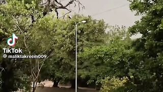 Beautiful weather 17