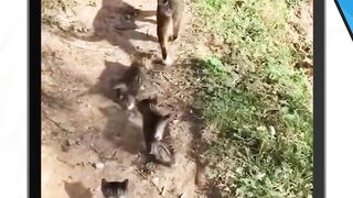 orang mau tidur pun susah