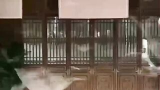 Suara Hati Penyelamat Kerajaan | SUB INDO - P05 (END)