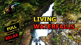 Living waterfalls. [HD]