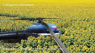 Жесткая посадка вертолета в Кабардино-Балкарии.