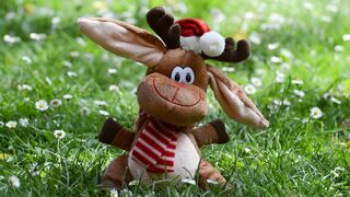 deer-christmas-moose-fun