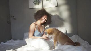 dog-puppy-pet