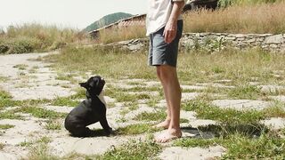 dog-puppy-pet