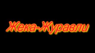 Жека - Журавли