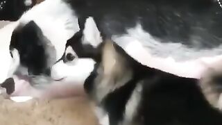 Дружбаны))