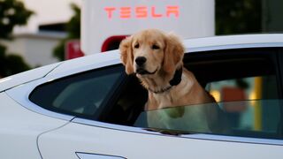 Почему Tesla Model S Plaid назвали самым быстрым электрокаром в мире