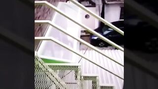 Mari kita lihat seberapa lama kalian bisa menahan tawa dari video kucing lucu in