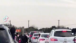 Funny animation ostrich