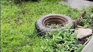 Иди Вася пивка випьеш