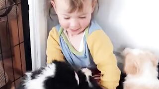 All About Puppies