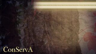 ПИР во время ЧУМЫ!