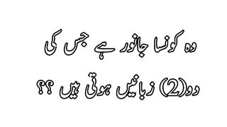what is the animal who have two tongue.