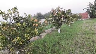 Orange Form