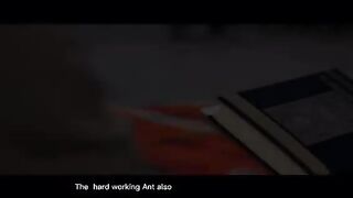 The Ant