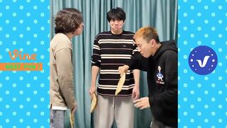stupid funny videos clean