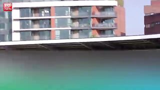 Most Amazing Catches by Shahid Afridi .