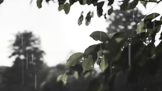 Winter Rain Owsem Shoot.????????????.Must Watch Video In Febspot.