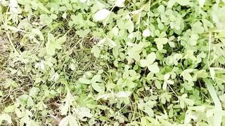 Amazing video