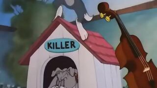 Tom and jerry || Tom love story