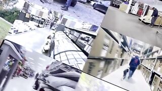 Amazing_Transformation____Harper____Australian_Shepard(360p).