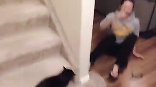 Funny Cat 9