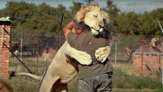 Animals Reunited With Owners AFTER YEARS!.