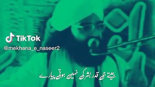 Peer naseer