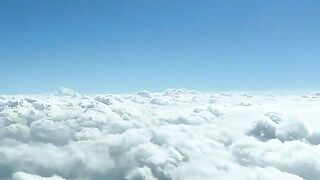 Wow what a see
