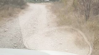 Drive