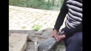???? Insiden  Terek4m Kamera! ???? Tetap berhati-hati dimanapun dan saat apapun