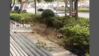 Mau tambah uang jajan join di sini https://enak.blog/koin 23