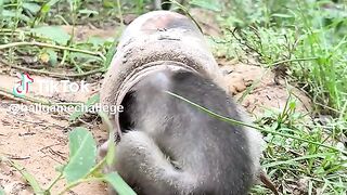 full video watch