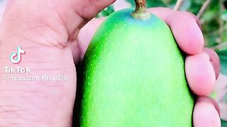 Earnbaksh