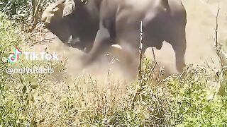 full video watching 8