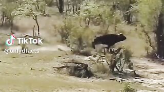 part2 full video watching