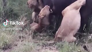 part3 full video watching