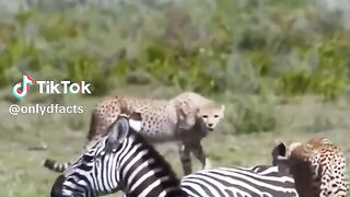part1 full video watching